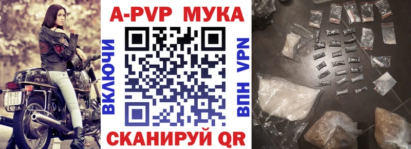 omg вход  Горнозаводск  Alfa_PVP СК КРИС 