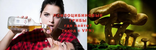 ECSTASY Богданович
