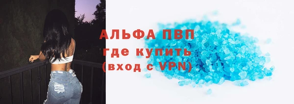 ECSTASY Богданович