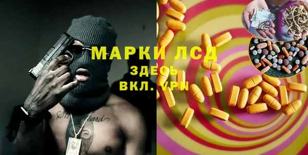 ECSTASY Богданович