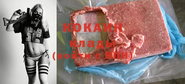 ECSTASY Богданович