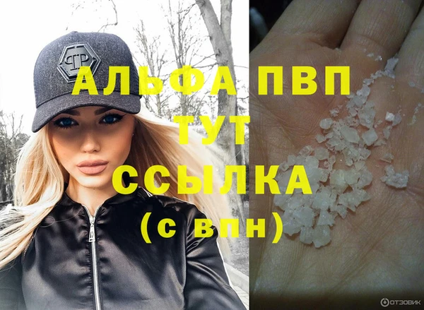 ECSTASY Богданович