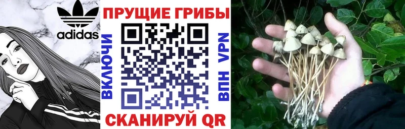 Псилоцибиновые грибы ЛСД  Горнозаводск 